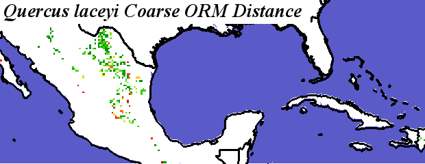 Quercus_laceyi_final.elev Coarse ORM Distance