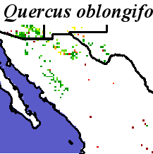 Quercus_oblongifolia_final.elev Coarse ORM Distance