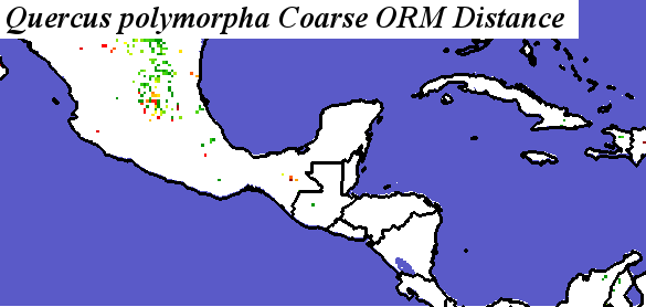 Quercus_polymorpha_final.noelev Coarse ORM Distance