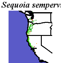 Sequoia_sempervirens_final.elev Coarse ORM Distance