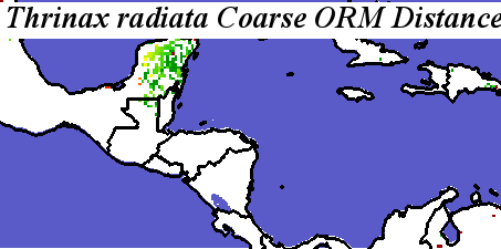 Thrinax_radiata_final.elev Coarse ORM Distance