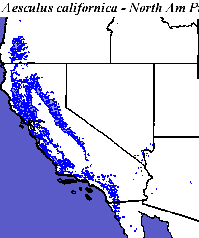 Hargroves Present Suitable Range Outline for Aesculus_californica_final