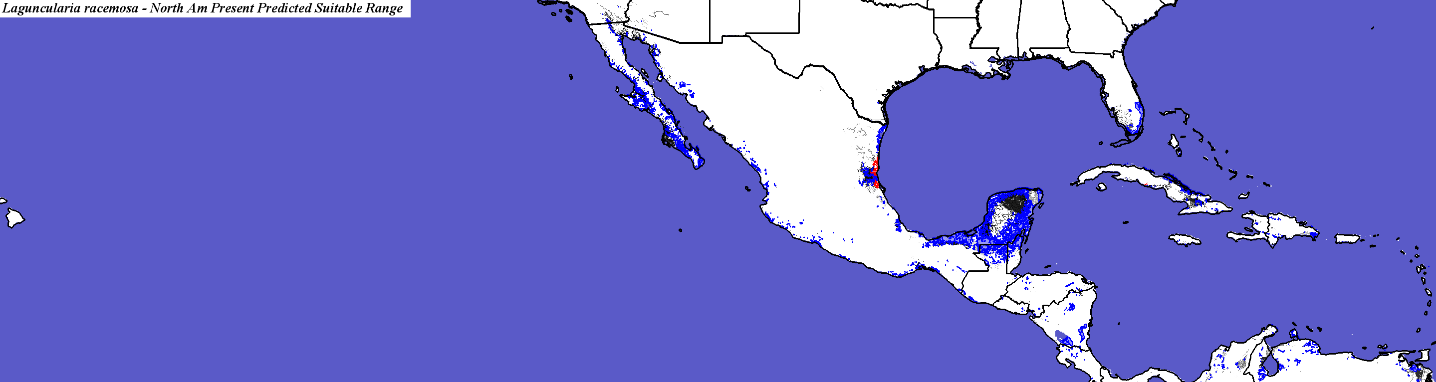 Hargroves Present Suitable Range Outline for Laguncularia_racemosa_final