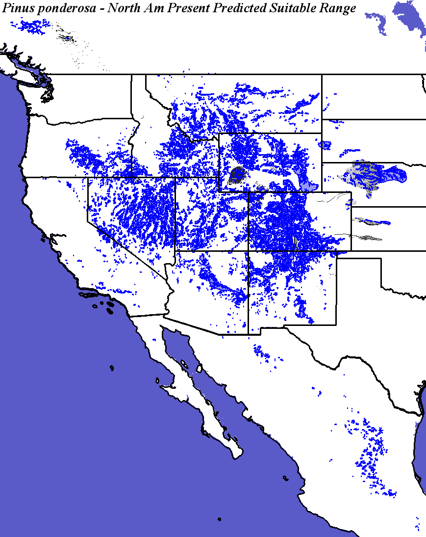 Hargroves Present Suitable Range Outline for Pinus_ponderosa_Interior_Haplotypes