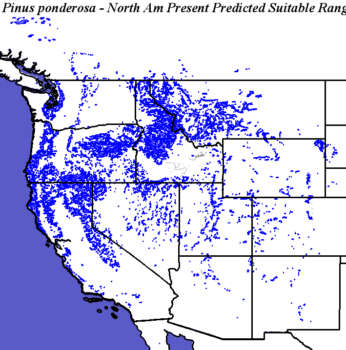 Hargroves Present Suitable Range Outline for Pinus_ponderosa_Pacific_Haplotypes