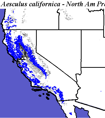 Hargroves Present Suitable Range Outline for Aesculus_californica_final