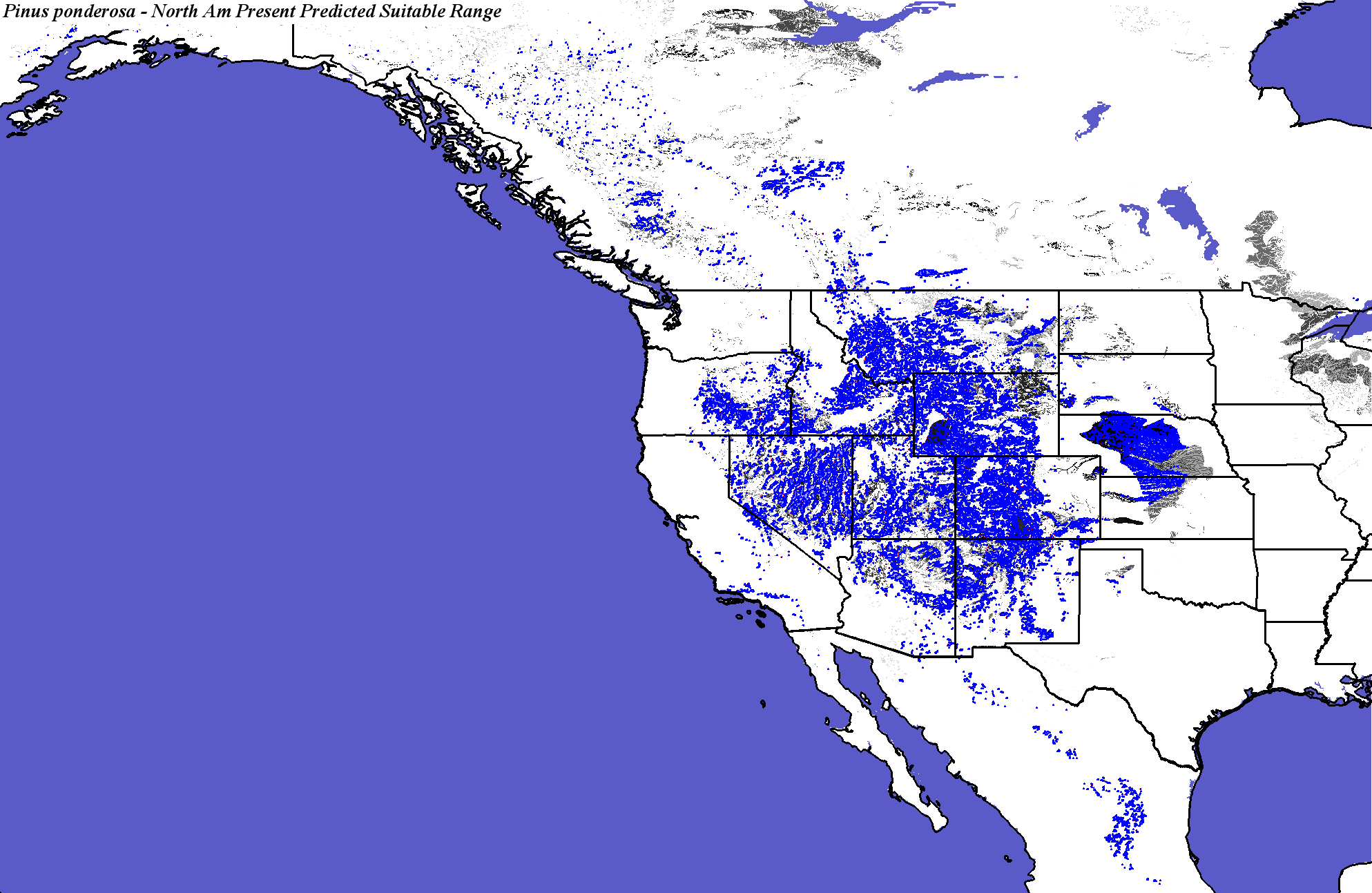 Hargroves Present Suitable Range Outline for Pinus_ponderosa_Interior_Haplotypes