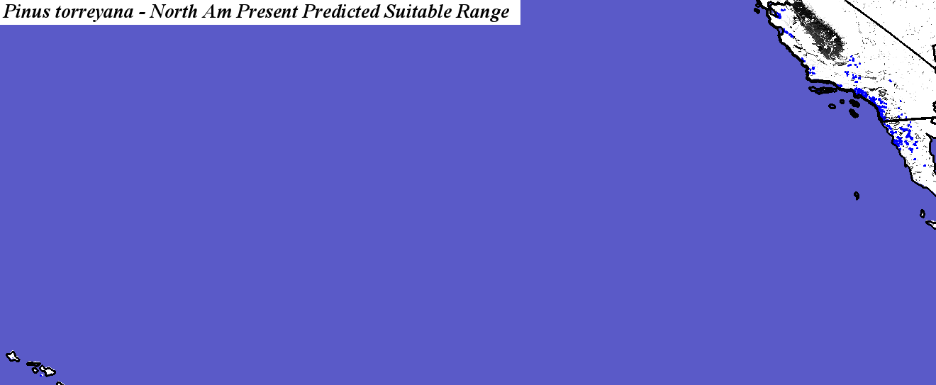 Hargroves Present Suitable Range Outline for Pinus_torreyana_final