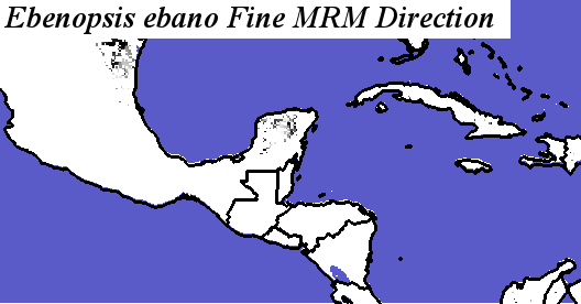 Ebenopsis_ebano_final.elev Fine MRM Direction