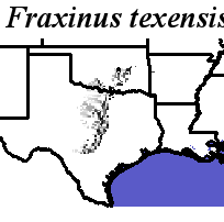 Fraxinus_texensis_final.elev Fine MRM Direction