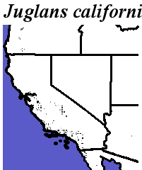 Juglans_californica_final.elev Fine MRM Direction
