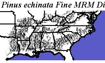 Pinus_echinata_final.noelev Fine MRM Direction