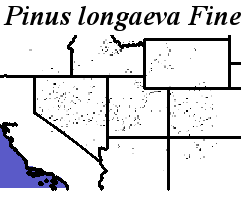 Pinus_longaeva_final.elev Fine MRM Direction