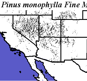 Pinus_monophylla_final.elev Fine MRM Direction