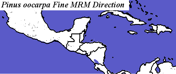 Pinus_oocarpa_SMS.elev Fine MRM Direction