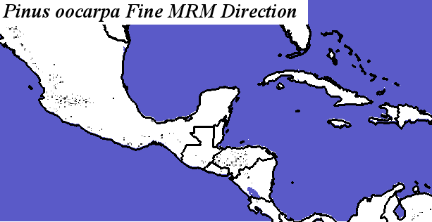 Pinus_oocarpa_final.elev Fine MRM Direction