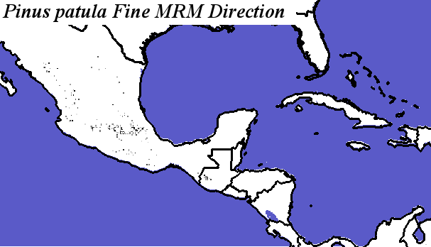 Pinus_patula_final.elev Fine MRM Direction