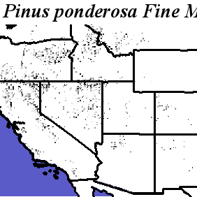 Pinus_ponderosa_Haplotype1.noelev Fine MRM Direction
