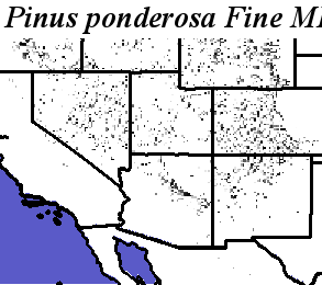 Pinus_ponderosa_Haplotype3.elev Fine MRM Direction