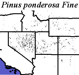 Pinus_ponderosa_Haplotype7.noelev Fine MRM Direction