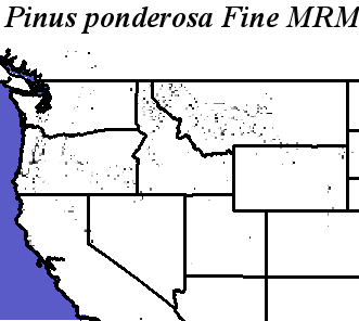 Pinus_ponderosa_Haplotype8.elev Fine MRM Direction