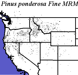 Pinus_ponderosa_Pacific_Haplotypes.elev Fine MRM Direction