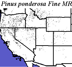 Pinus_ponderosa_Pacific_Haplotypes.noelev Fine MRM Direction