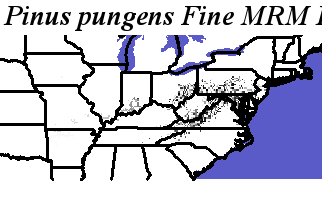 Pinus_pungens_final.elev Fine MRM Direction