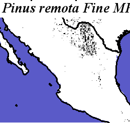 Pinus_remota_final.noelev Fine MRM Direction