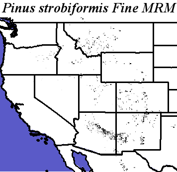 Pinus_strobiformis_final.noelev Fine MRM Direction