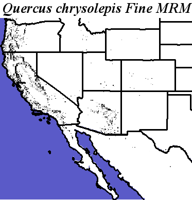 Quercus_chrysolepis_final.elev Fine MRM Direction