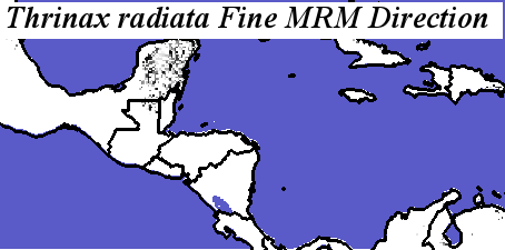 Thrinax_radiata_final.elev Fine MRM Direction