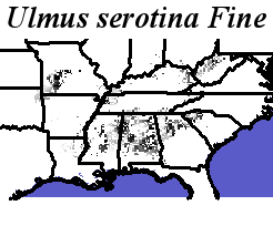 Ulmus_serotina_final.elev Fine MRM Direction