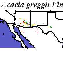 Acacia_greggii_final.noelev Fine MRM Distance