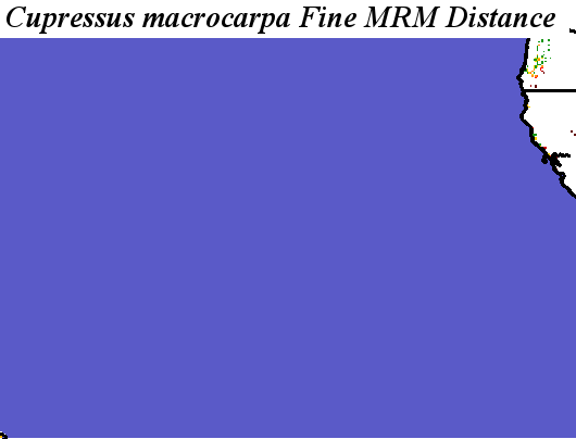 Cupressus_macrocarpa_final.elev Fine MRM Distance