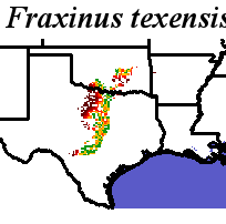 Fraxinus_texensis_final.elev Fine MRM Distance