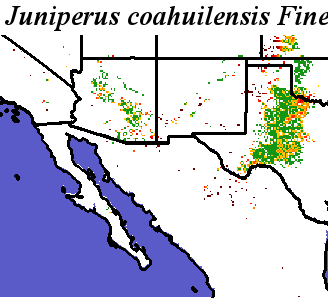 Juniperus_coahuilensis_final.elev Fine MRM Distance