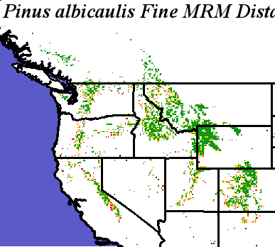 Pinus_albicaulis_final.elev Fine MRM Distance