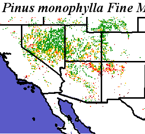 Pinus_monophylla_final.elev Fine MRM Distance