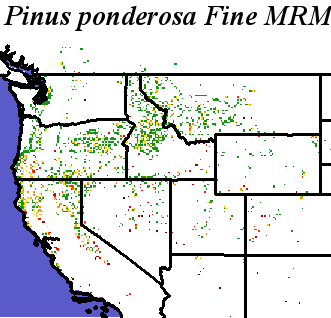 Pinus_ponderosa_Pacific_Haplotypes.elev Fine MRM Distance