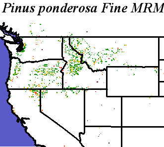 Pinus_ponderosa_var_ponderosa_SS.elev Fine MRM Distance