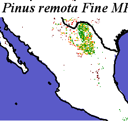 Pinus_remota_final.noelev Fine MRM Distance