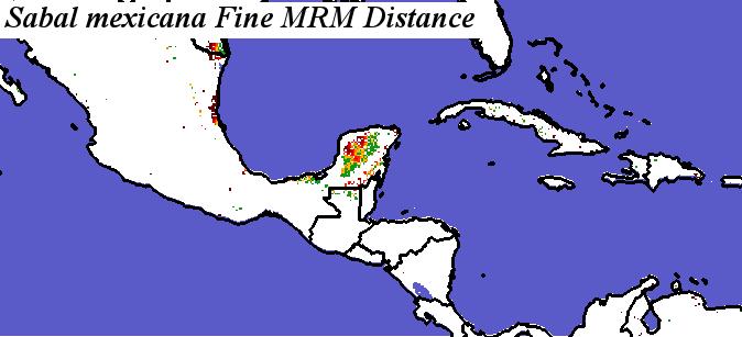 Sabal_mexicana_final.elev Fine MRM Distance