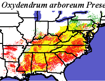 Oxydendrum_arboreum_final.elev