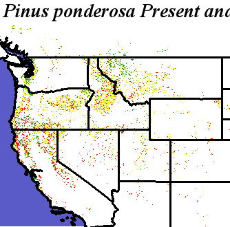 Pinus_ponderosa_Pacific_Haplotypes.elev