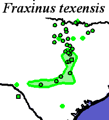 Fraxinus_texensis_final Occurrences