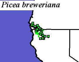Picea_breweriana_final Occurrences