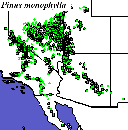 Pinus_monophylla_final Occurrences