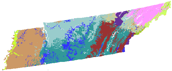 Tennessee clustered into 13 custom ecoregions