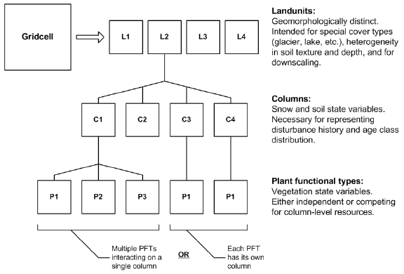 Hierarchy of subgrid data in CLM 2.1